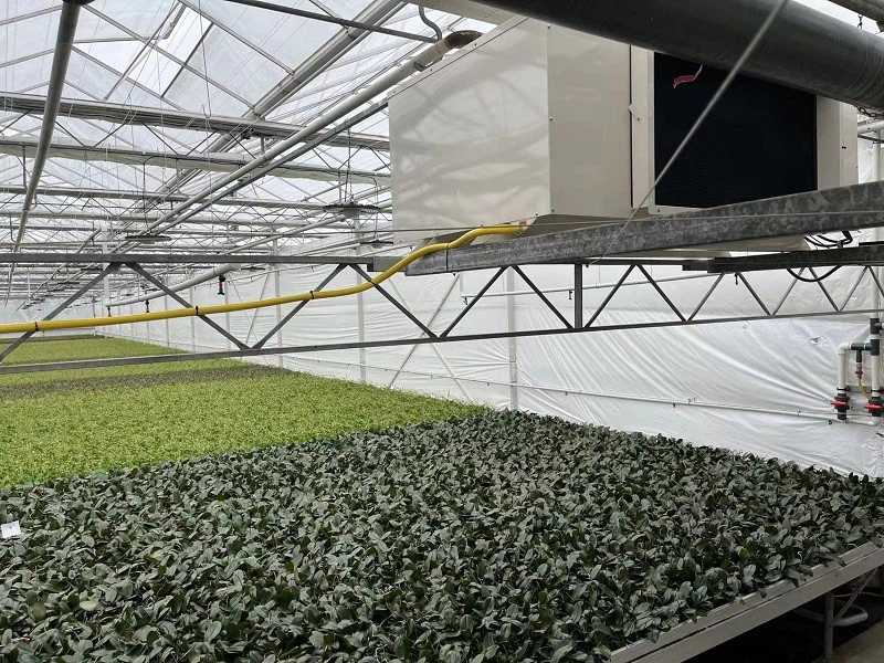 webwxgetmsgimg 10 webwxgetmsgimg 10